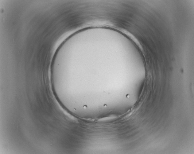 X0000074961343200609291903