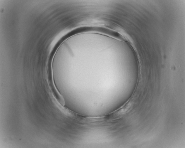 X0000074961344200609291903