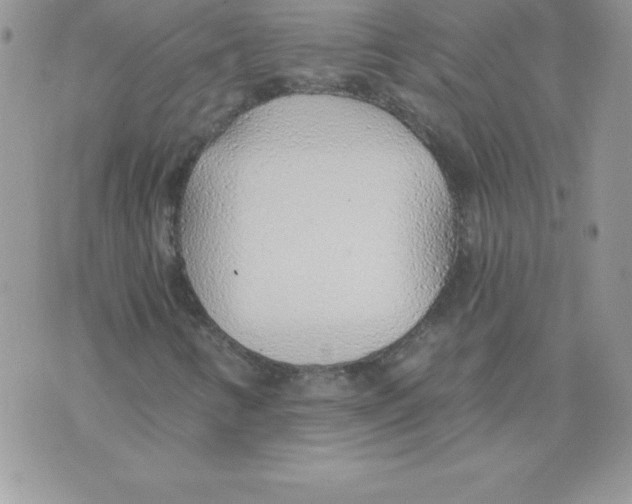 X0000074961346200609291902