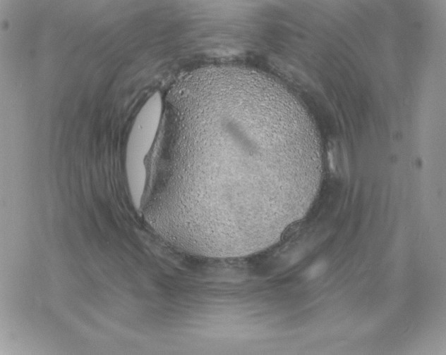 X0000074961347200609291902