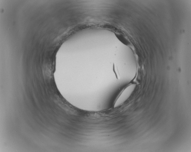 X0000074961348200609291902