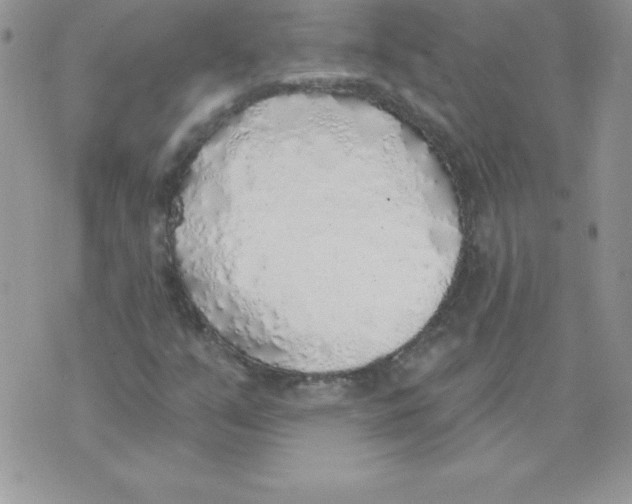 X0000074961351200609291902