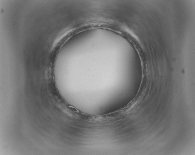 X0000074961352200609291902