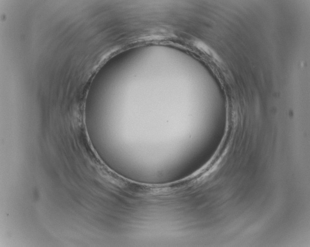 X0000074961353200609291902