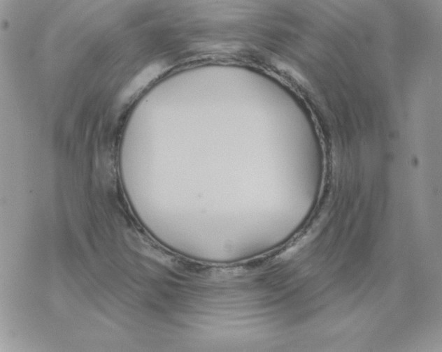 X0000074961354200609291902