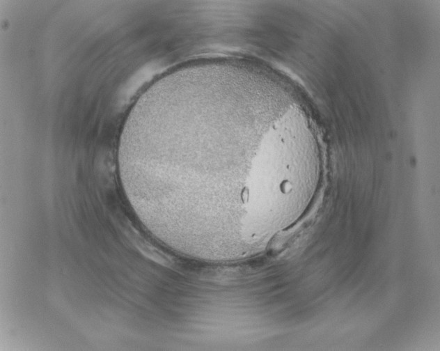 X0000074961355200609291902