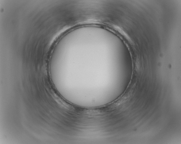 X0000074961356200609291902