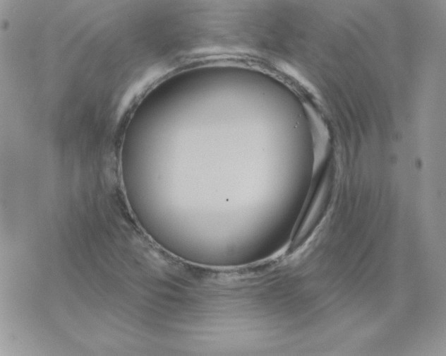 X0000074961357200609291902