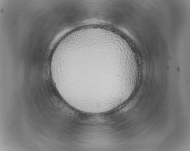 X0000074961358200609291902