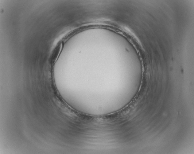 X0000074961360200609291902