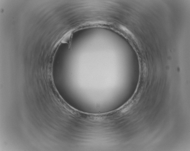 X0000074961361200609291902