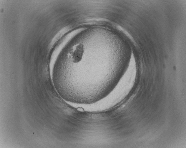 X0000074961362200609291902