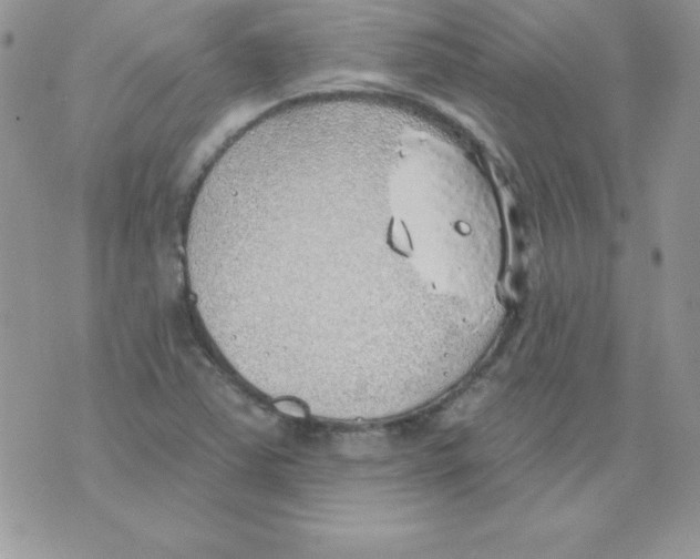 X0000074961363200609291902