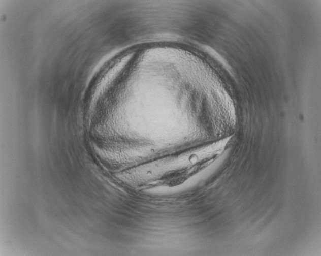 X0000074961364200609291902