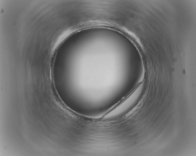 X0000074961365200609291902