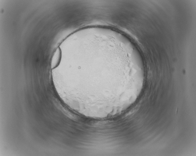 X0000074961367200609291902