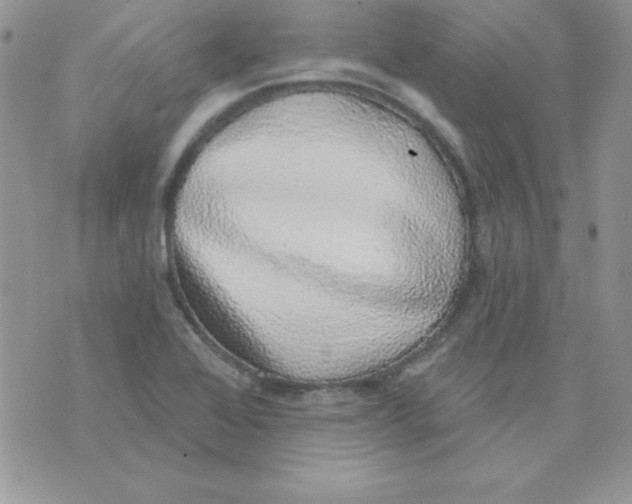 X0000074961368200609291902