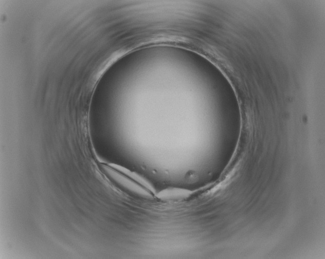 X0000074961369200609291902