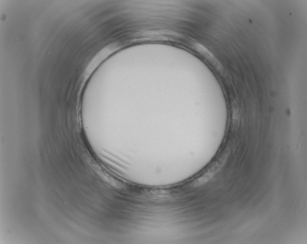 X0000074961370200609291902