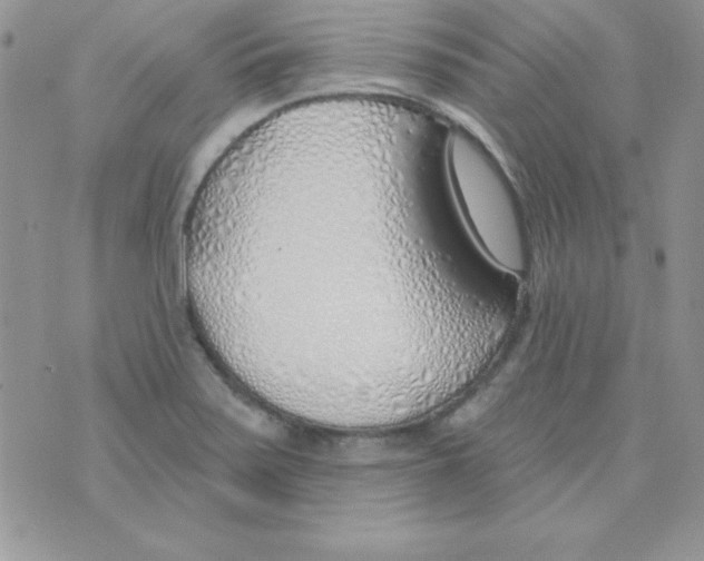 X0000074961371200609291902