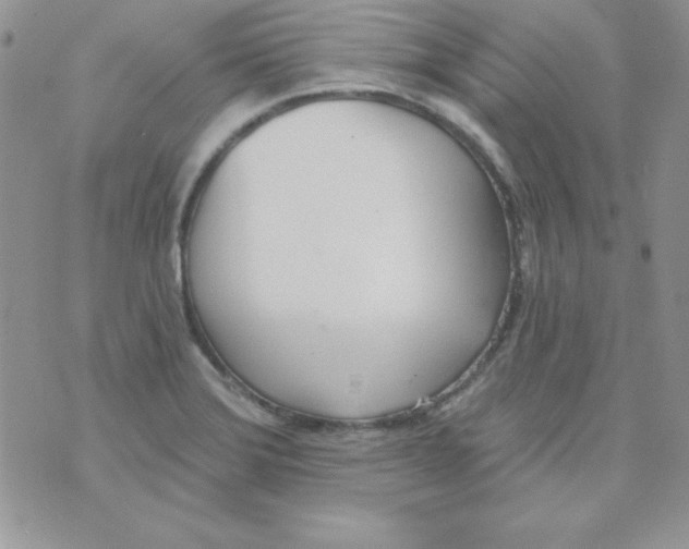 X0000074961372200609291902