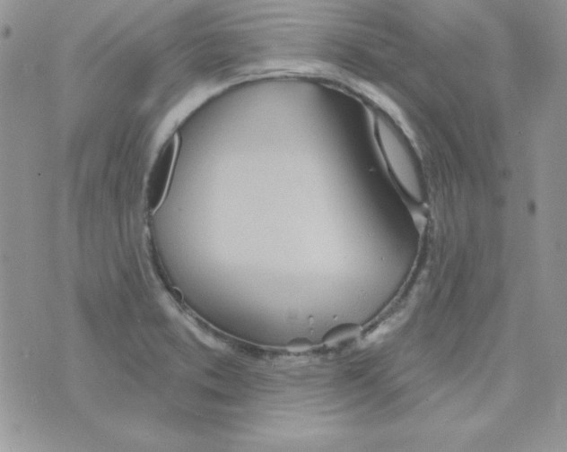 X0000074961373200609291902