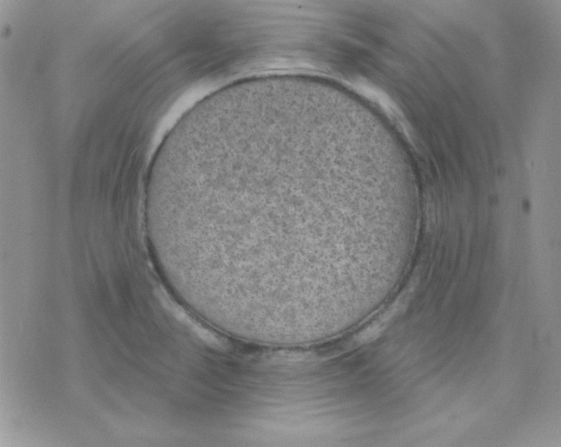 X0000074961374200609291902