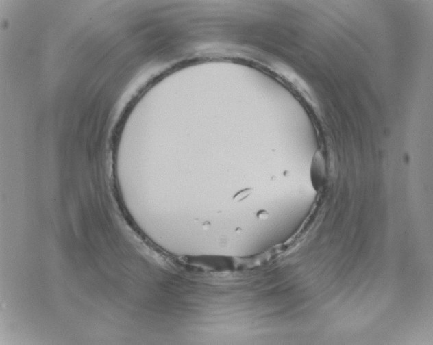 X0000074961376200609291902