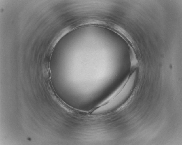 X0000074961377200609291902