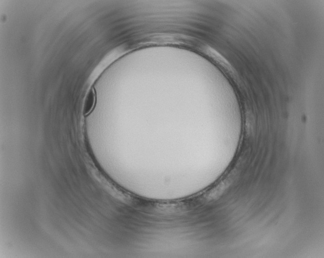 X0000074961378200609291902