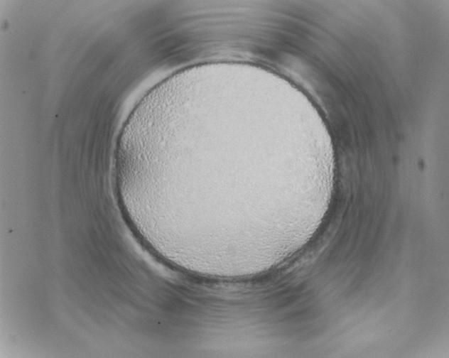 X0000074961379200609291902