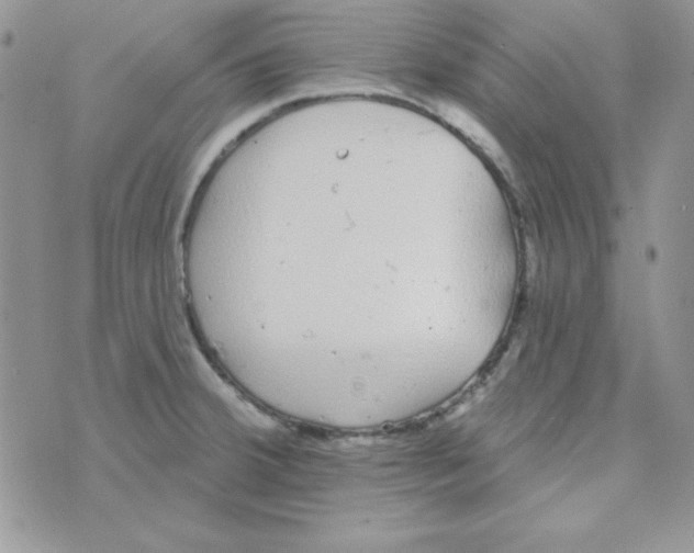 X0000074961380200609291902