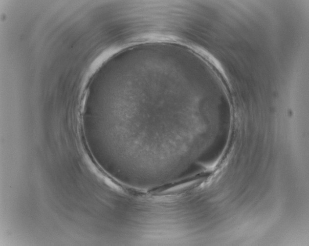 X0000074961381200609291902