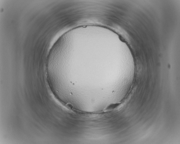 X0000074961382200609291902