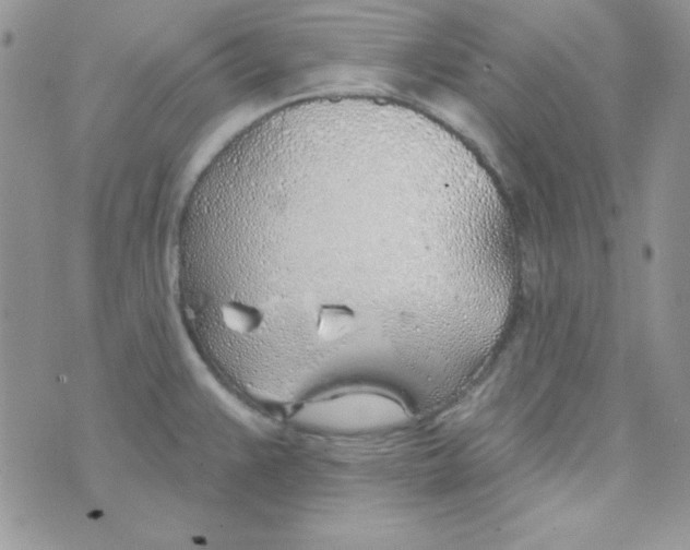 X0000074961383200609291902