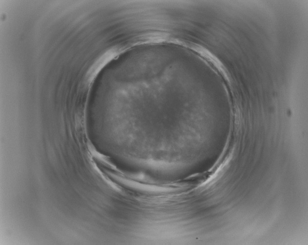 X0000074961385200609291902