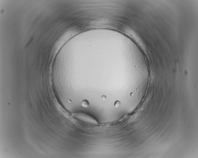 X0000074961386200609291902