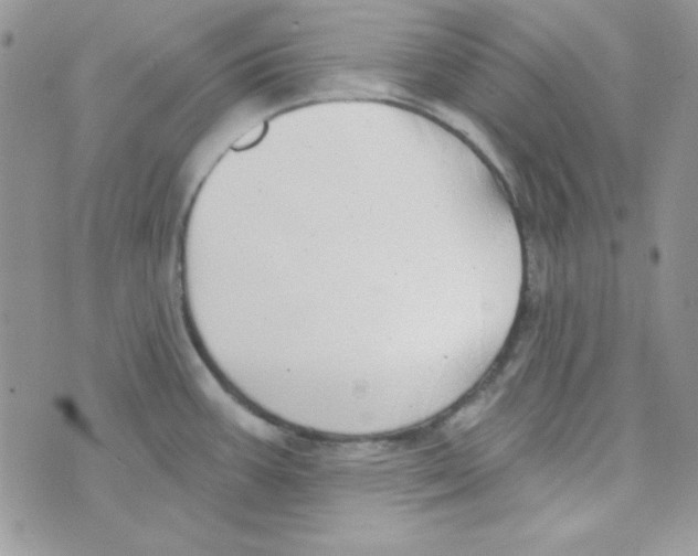 X0000074961387200609291902