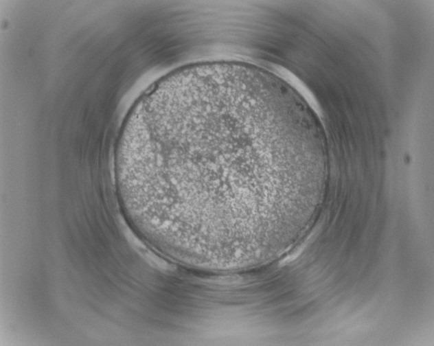 X0000074961388200609291902