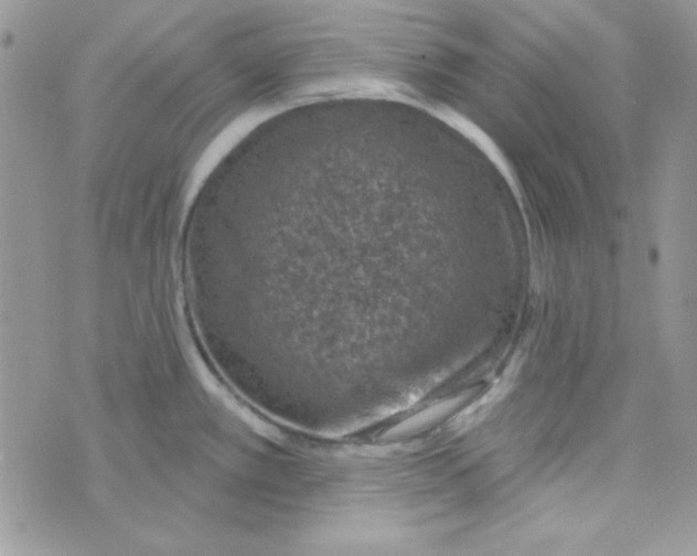 X0000074961389200609291902