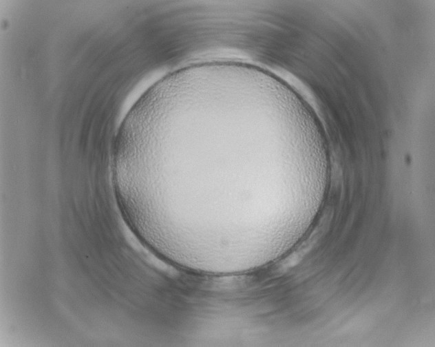 X0000074961390200609291902