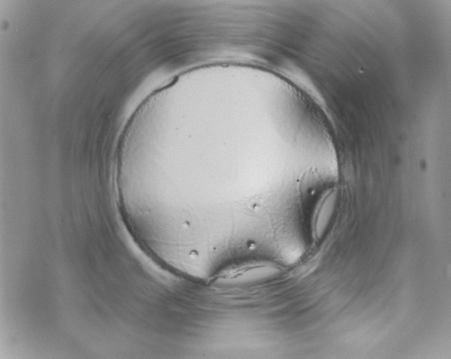 X0000074961391200609291902