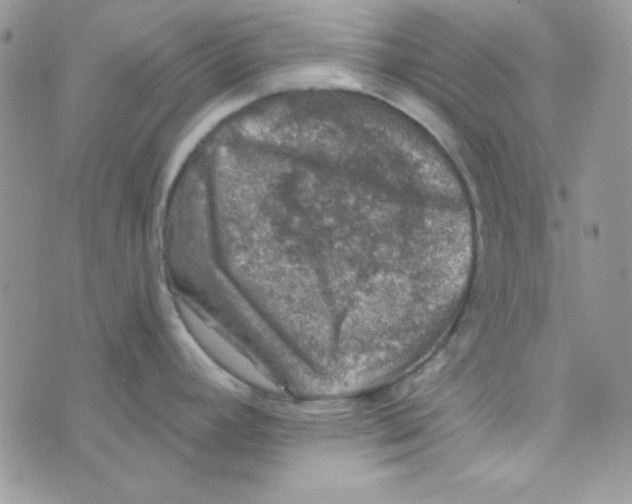 X0000074961392200609291901