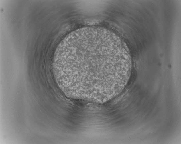 X0000074961393200609291901