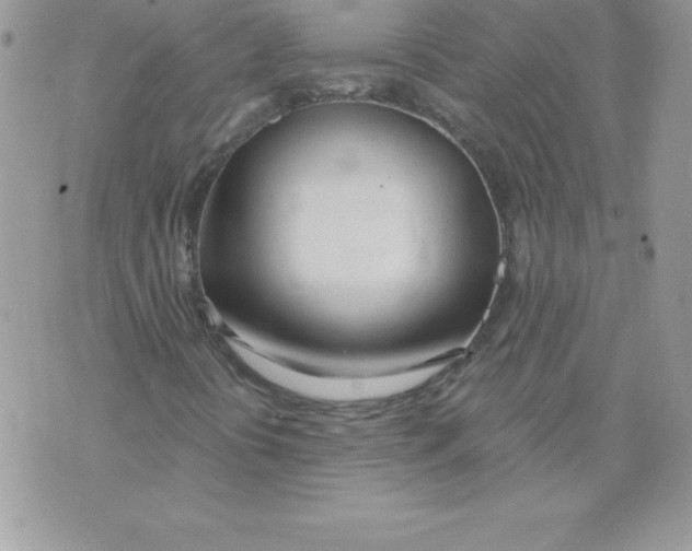 X0000074961394200609291901