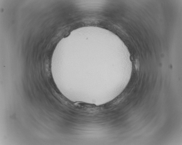 X0000074961396200609291901