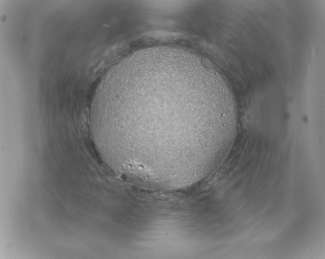 X0000074961397200609291901