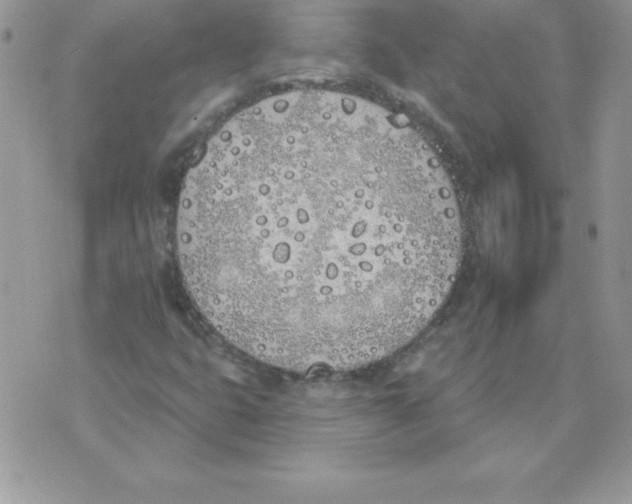 X0000074961399200609291901