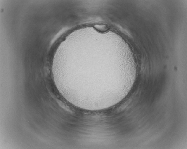 X0000074961400200609291901