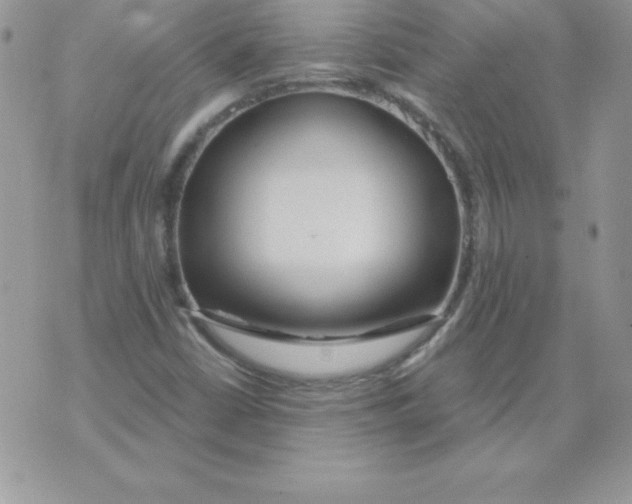 X0000074961402200609291901